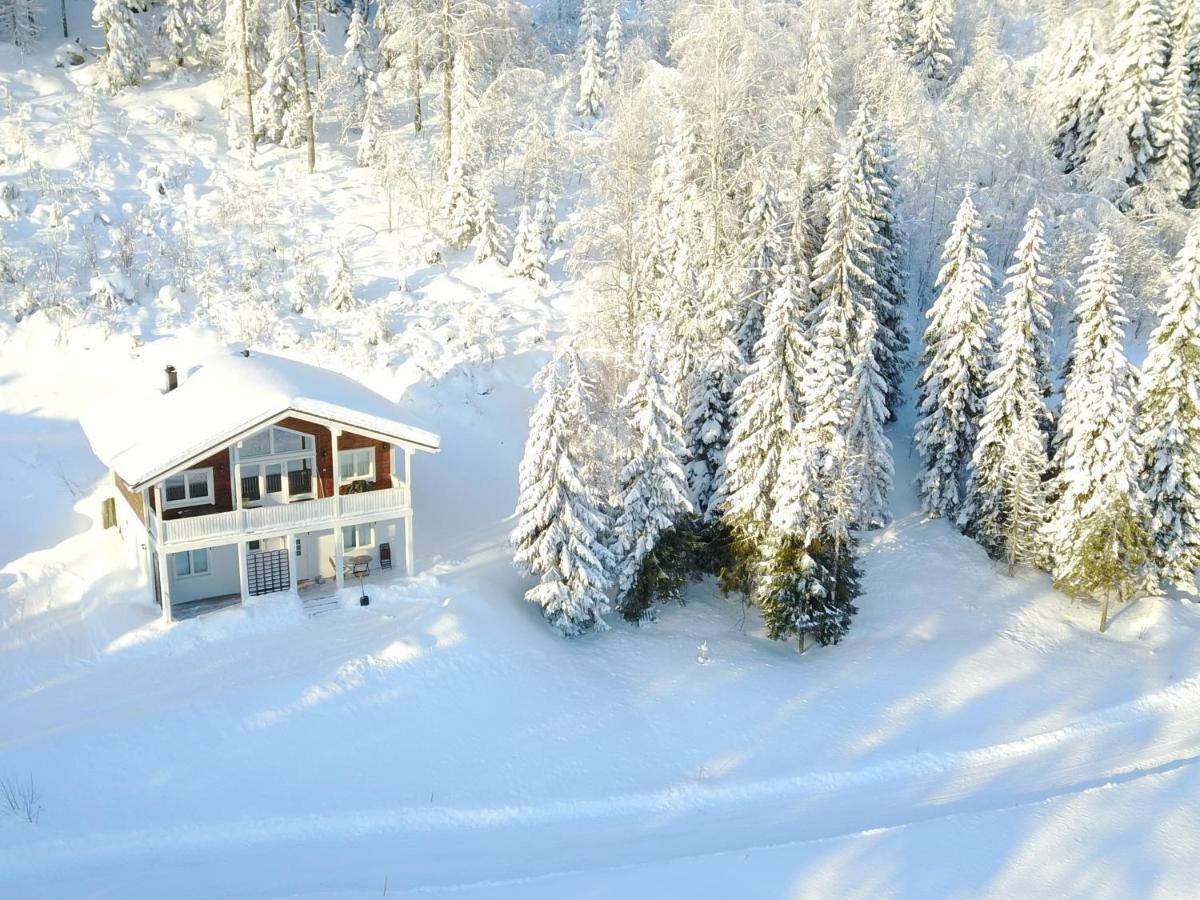 Karkutahko Villas Ruokonen Bagian luar foto